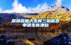 深圳参保人生育三胎能否申请生育津贴
