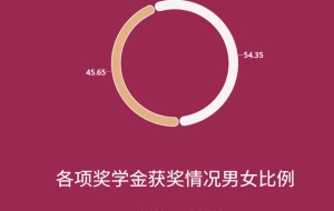 深圳龙岗本科生入户政策(2021深圳入户政策调整)