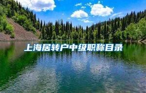 上海居转户中级职称目录