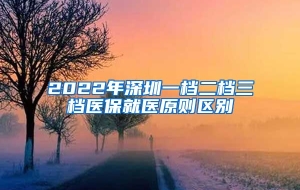2022年深圳一档二档三档医保就医原则区别