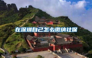在深圳自己怎么缴纳社保