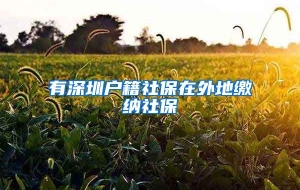 有深圳户籍社保在外地缴纳社保