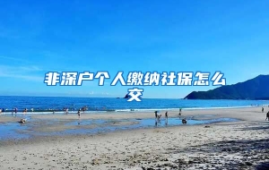 非深户个人缴纳社保怎么交