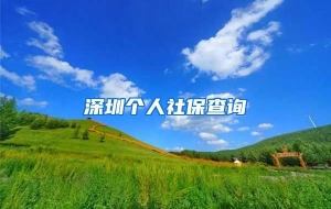 深圳个人社保查询