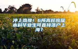 冲上热搜！6所高校应届本科毕业生可直接落户上海？