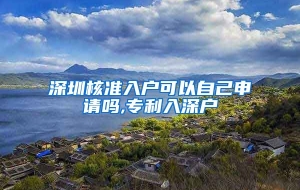 深圳核准入户可以自己申请吗,专利入深户