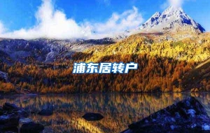 浦东居转户