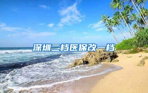 深圳二档医保改一档