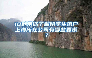 10秒带你了解留学生落户上海所在公司有哪些要求？