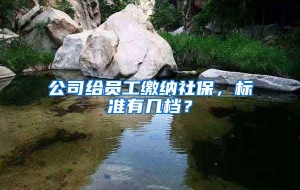 公司给员工缴纳社保，标准有几档？