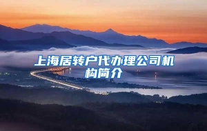 上海居转户代办理公司机构简介
