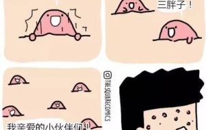 配偶随迁上海户口离婚-上海居转户配偶随迁