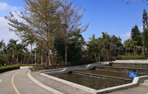 看了入户深圳社保如何修改新内容，我发现越来越简单了