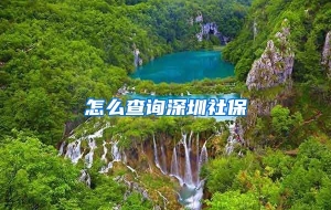 怎么查询深圳社保