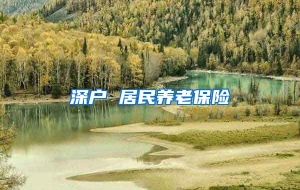 深户 居民养老保险