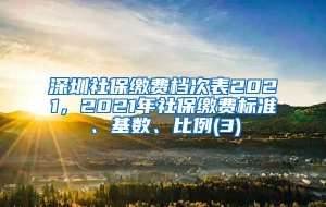 深圳社保缴费档次表2021，2021年社保缴费标准、基数、比例(3)