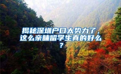 揭秘深圳户口太势力了，这么亲睐留学生真的好么？