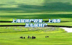 上海居转户政策，上海市怎么居转户