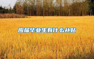 应届毕业生有什么补贴
