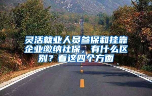 灵活就业人员参保和挂靠企业缴纳社保，有什么区别？看这四个方面