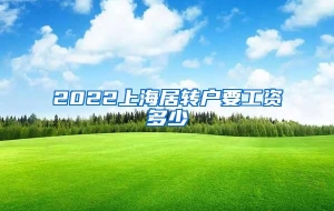 2022上海居转户要工资多少