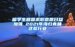 留学生回国求职意愿日益加强 2021年海归青睐这些行业