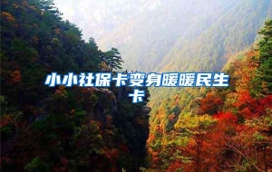 小小社保卡变身暖暖民生卡