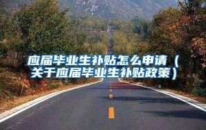 应届毕业生补贴怎么申请（关于应届毕业生补贴政策）