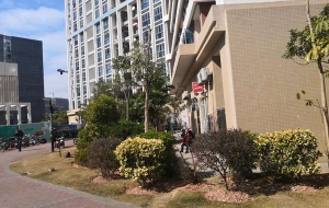 你不妨看看深圳留学生落户挂靠亲友的问题是如何被解决的！