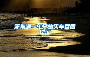 深圳哪一年开始买车要居住证