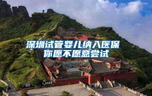 深圳试管婴儿纳入医保 你愿不愿意尝试