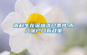 本科生在深圳落户条件,市入深户口新政策