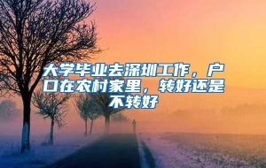 大学毕业去深圳工作，户口在农村家里，转好还是不转好