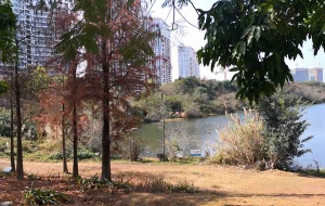 想要轻松解决应届生入户深圳户口地址问题，不妨试试这个方法