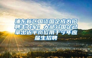 浦东新区国资国企成为招聘主力军！大部分国企已拿出近半岗位用于今年应届生招聘