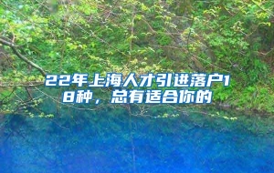 22年上海人才引进落户18种，总有适合你的