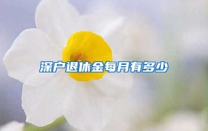 深户退休金每月有多少