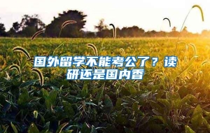 国外留学不能考公了？读研还是国内香