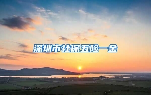 深圳市社保五险一金