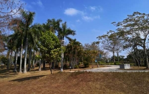 关于大专文凭可以直接入户深圳吗，你需要知道的事情