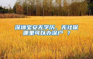 深圳宝安无学历、无社保哪里可以办深户 ？