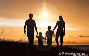 上海居转户-成功案例分析