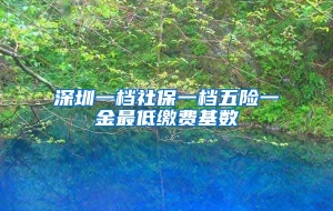 深圳一档社保一档五险一金最低缴费基数