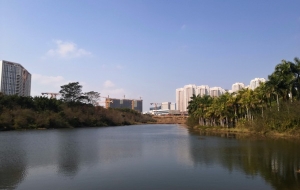 深圳市毕业生入户热线有哪些核心要点？我们应该如何应对？