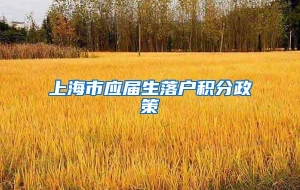 上海市应届生落户积分政策
