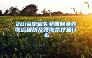 2019深圳失业保险金领取流程以及领取条件是什么
