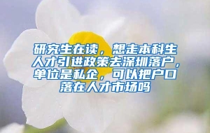 研究生在读，想走本科生人才引进政策去深圳落户，单位是私企，可以把户口落在人才市场吗