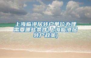 上海临港居转户单位办理需要哪些条件(上海临港居转户政策)