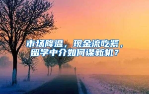 市场降温，现金流吃紧，留学中介如何谋新机？