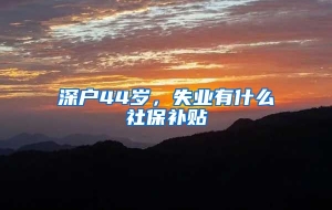 深户44岁，失业有什么社保补贴